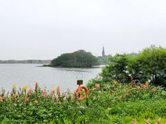 -海珠湖公园
