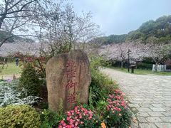 -苏州上方山国家森林公园