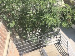 -羊门客在·烤盐池滩羊·川菜