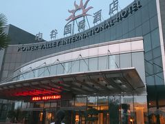 -电谷雅阁国际大酒店