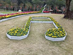 -野狸岛