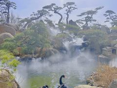 -罗红摄影艺术馆