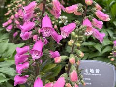 -国家植物园南园