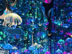 -天津梵高星空艺术馆(天河城旗舰店)