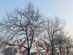 -院子餐厅·大锅菜·老杭帮(桥西直街店)