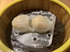 -纽斯特牛排自助餐厅(浦东文峰广场店)