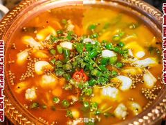 -沪小二炭火蛙锅(淮海中路美食不夜城店)