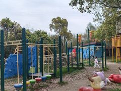 -上海海湾国家森林公园