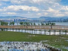 -洱海月湿地公园