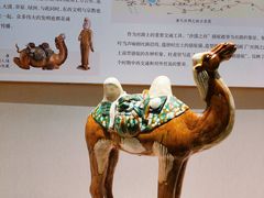 -深圳博物馆(古代艺术馆)