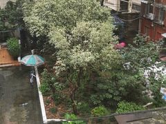 -荣轩