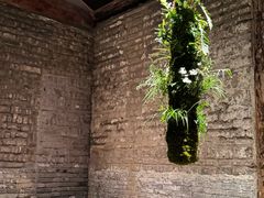 -曲廊院(东四十一条店)