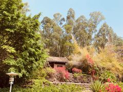 -深圳国际园林花卉博览园