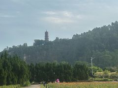 -南沙天后宫景区