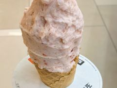 -野人先生现做冰淇淋(北京环宇荟店)