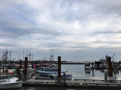 -Steveston Pizza Company (Richmond)