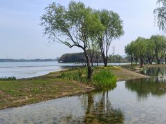 -渤公岛生态公园