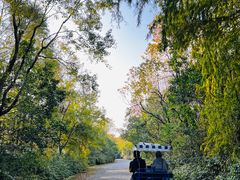 -上海海湾国家森林公园