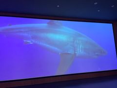 -深海中餐厅(国家海洋博物馆店)