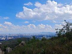 -长虫山生态公园风景林