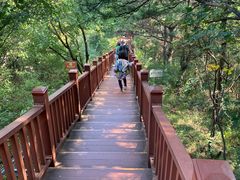 -燕塞湖鸟语林景区