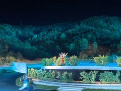 -鼎盛王朝康熙大典实景演出