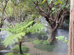 -Chom Cafe and Restaurant