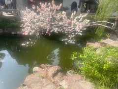-水绘园