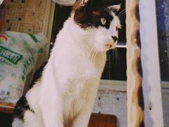 -三点小吃(山大店)