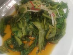 -天津津利华酒店