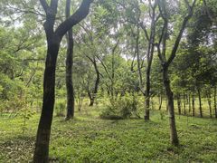 -燕晗山郊野公园
