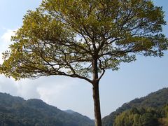 -广州市石门国家森林公园