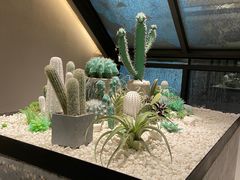 -大树餐厅(红旗街万达店)