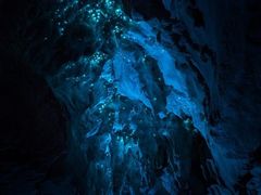 -怀托摩萤火虫洞