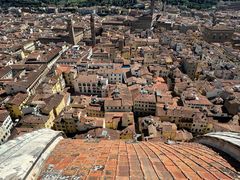 -圣母百花大教堂穹顶