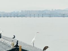 -仓山金山寺