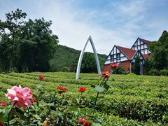 -句容茅山景区