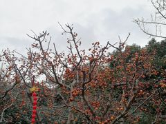 -威海华夏城景区