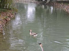 -八大山人梅湖景区