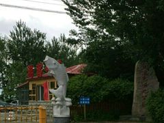 -白渔泡湿地公园