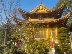 -上海东林寺(金山区)