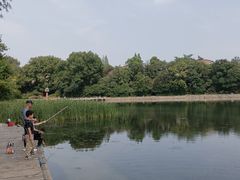-北极阁公园