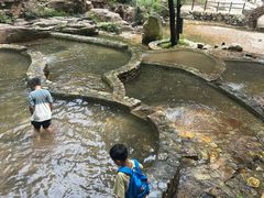 -湖洞水自然风景区