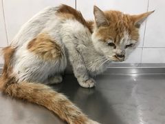 -畜牧兽医站(共江路店)