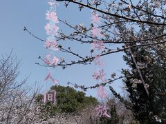 -堤角公园
