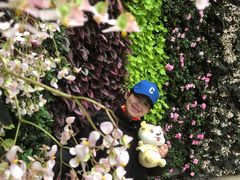 -石家庄市植物园