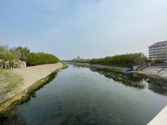 -桃花堤公园