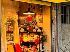 -溪岸路花鸟市场
