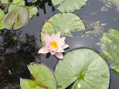 -沈阳植物园