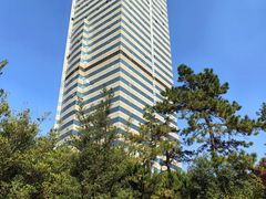 -上海瑞金洲际酒店